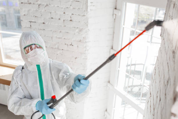 Best Comprehensive Air Testing for Mold Contaminants  in Weidman, MI
