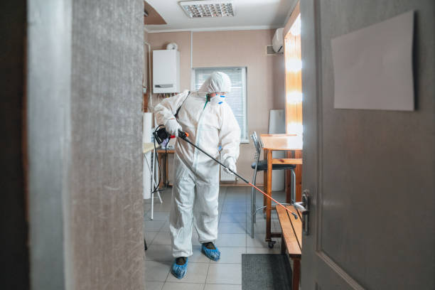 Best Black Mold Removal  in Weidman, MI