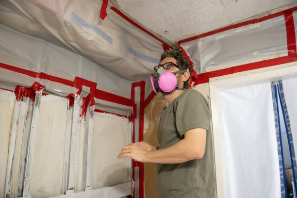 Best Post-Remediation Verification Testing  in Weidman, MI