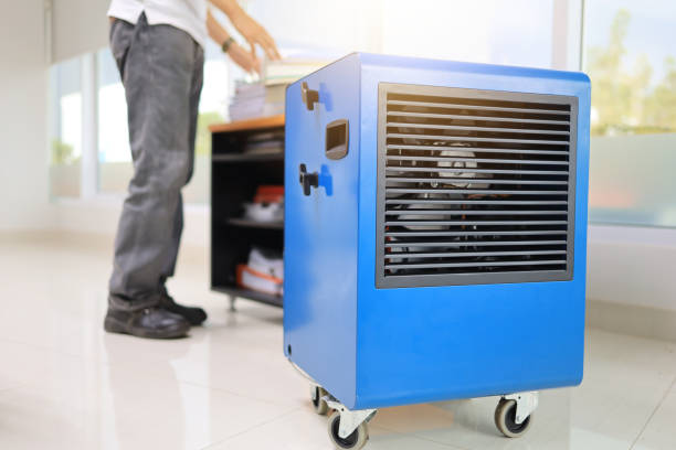 Best Industrial Mold Remediation  in Weidman, MI