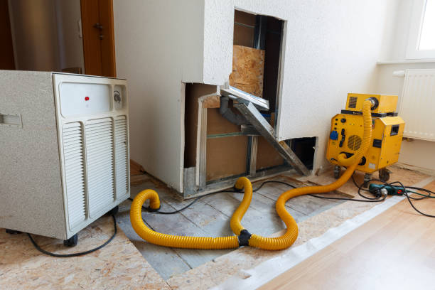 Reliable Weidman, MI Mold Removal Solutions