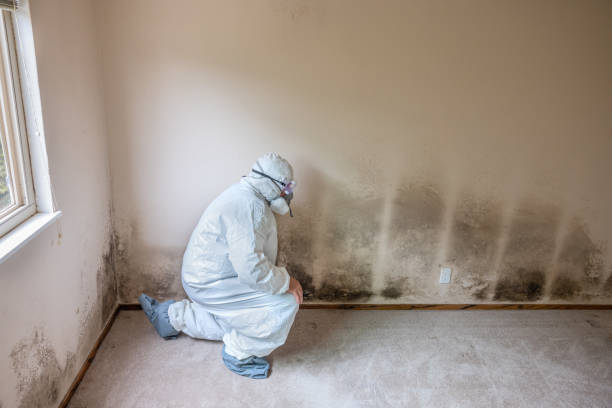 Best HVAC Mold Inspection and Cleaning  in Weidman, MI