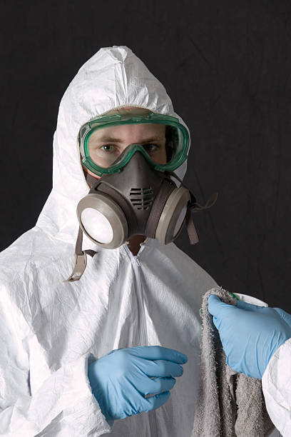 Best Water Damage & Mold Remediation  in Weidman, MI